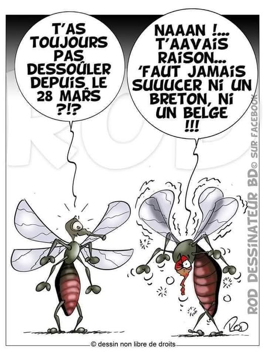 t avais raison.....jpg