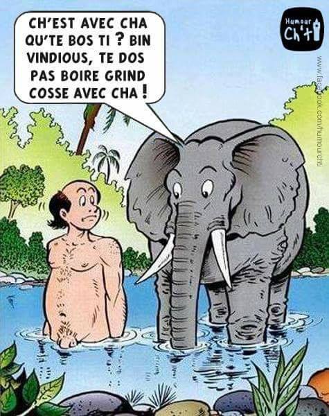 éléphant.jpg