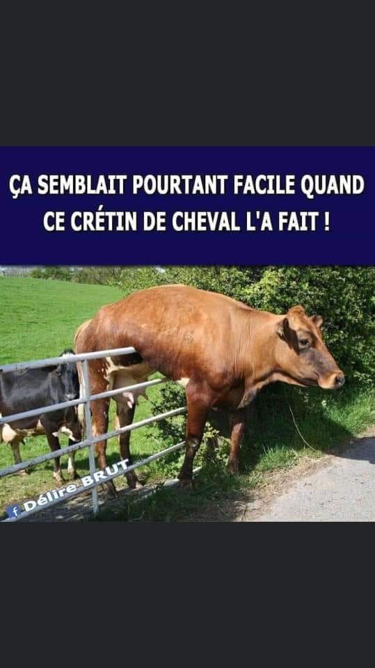 cretin de cheval.jpg