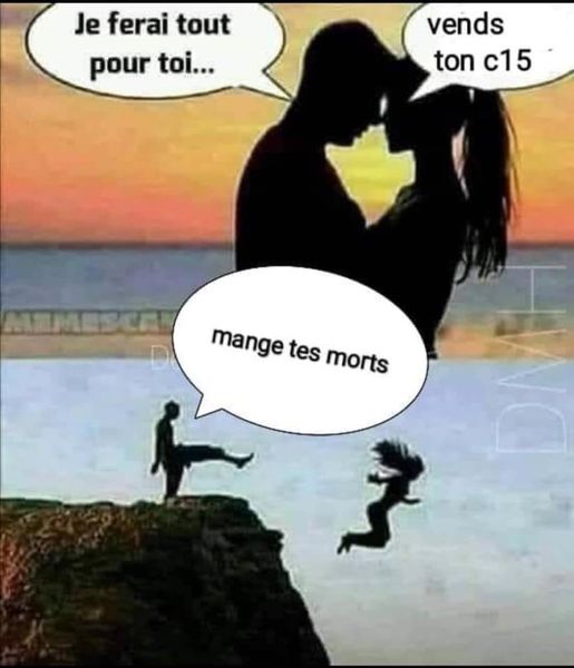 ferais tout.jpg