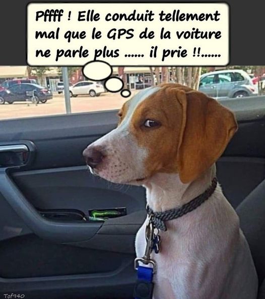 GPS.jpg