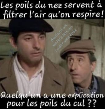 les poils.jpg