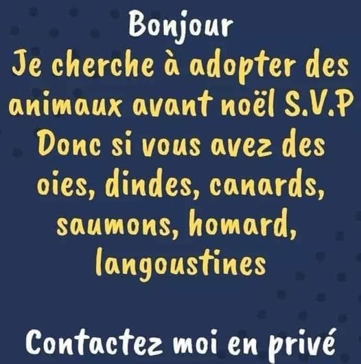 adopter.jpg