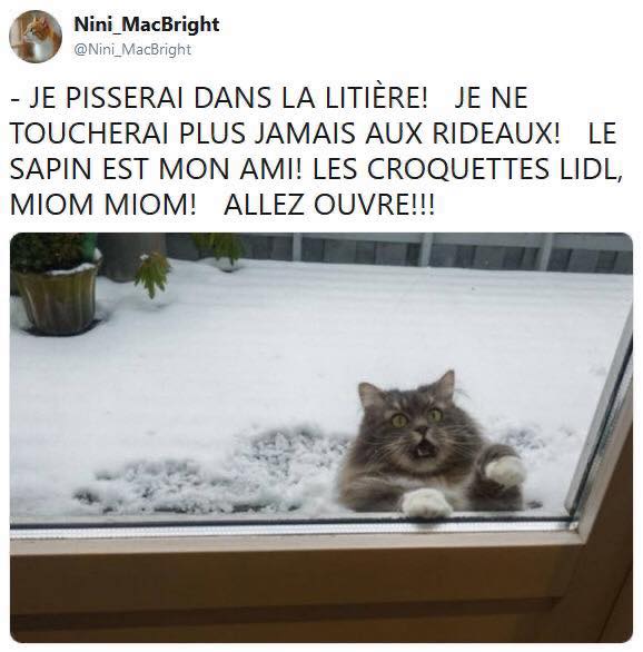 serais sage.jpg