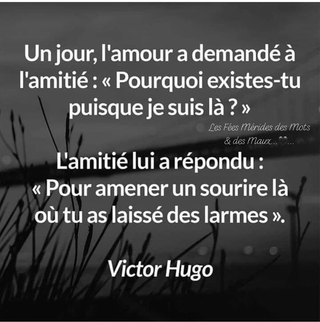 victor hugo.jpg