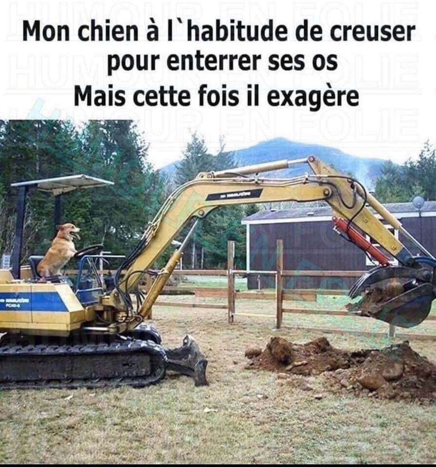 enterre son os.jpg