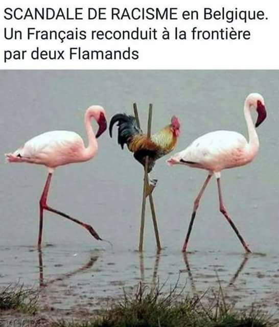 reconduit a la frontiere.jpg