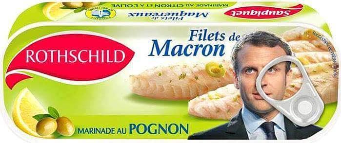 filet macron.jpg