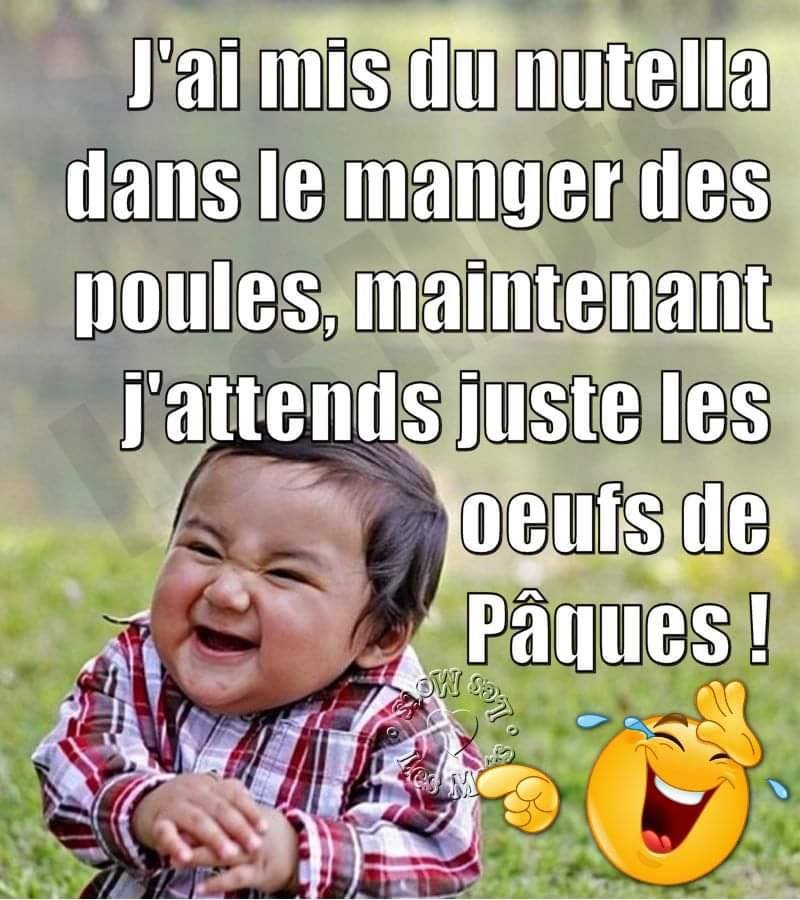 oeuf de paques.jpg