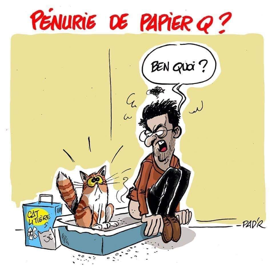 pénurie PQ.jpg