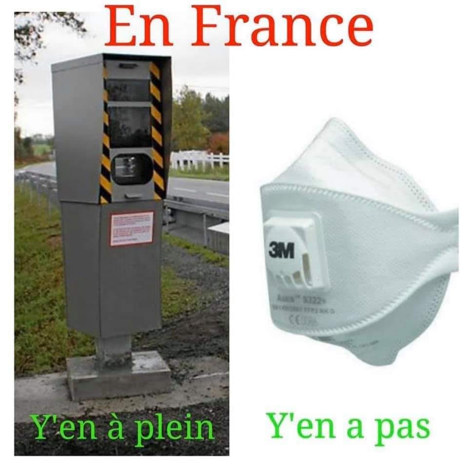 y en a plein.jpg