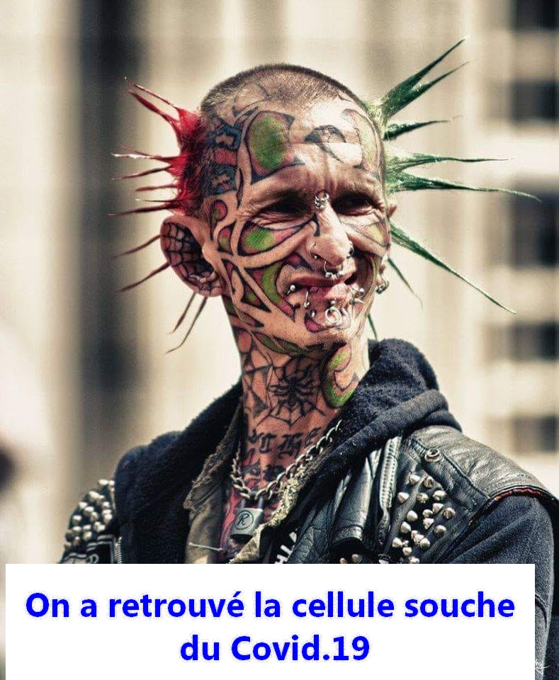 cellule souche du virus.jpg