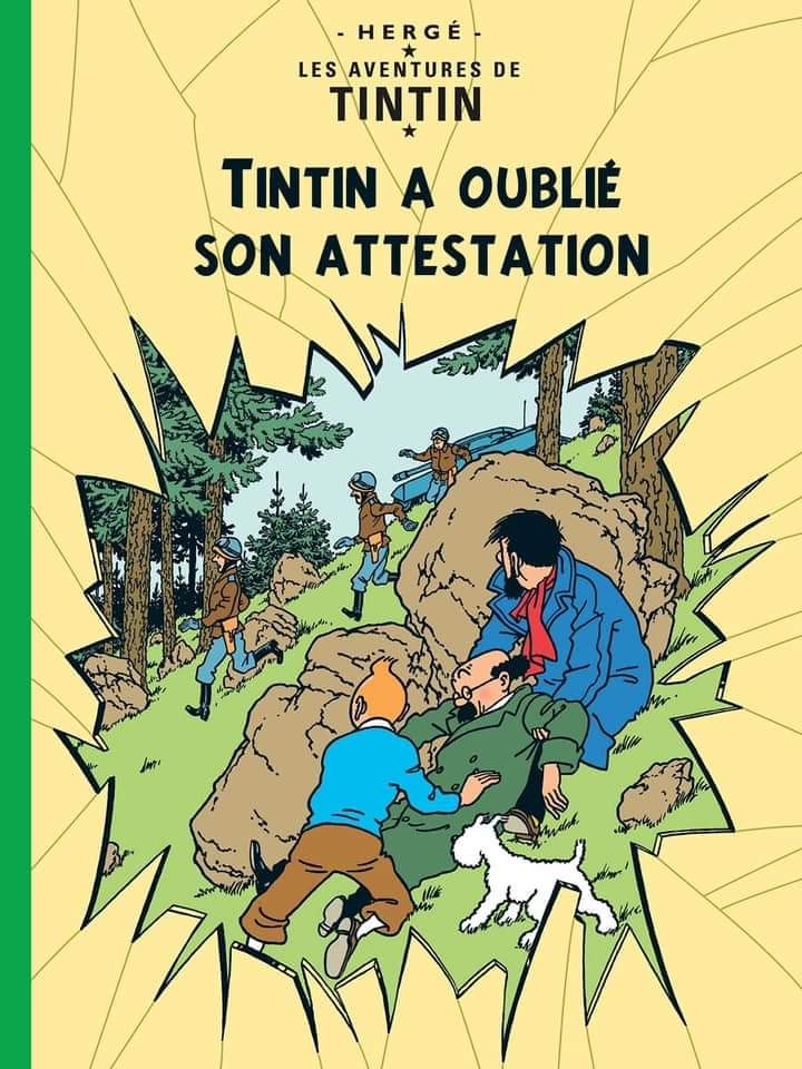 tintin ttestation1.jpg