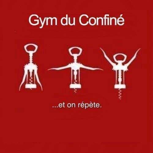 gym du confiné.jpg