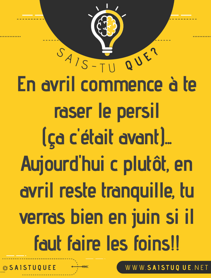 les foins.jpg