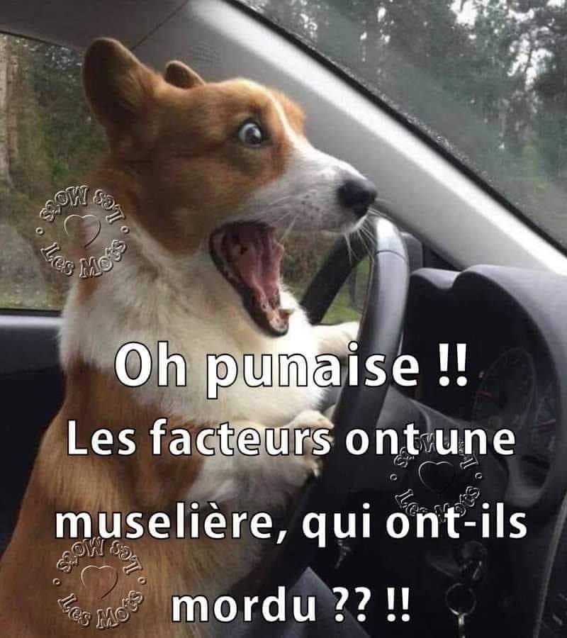 facteur.jpg