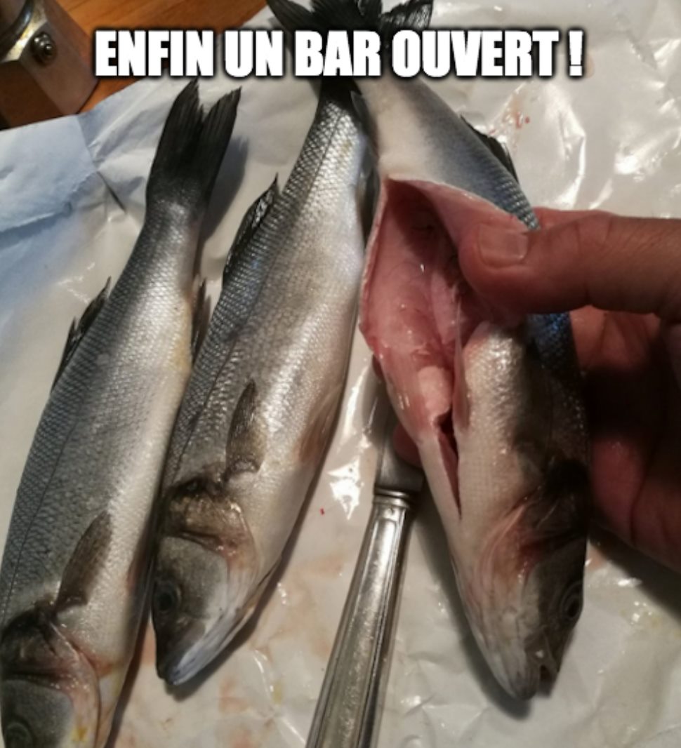 bar.jpg