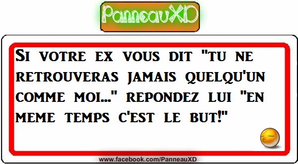 féministe.jpg
