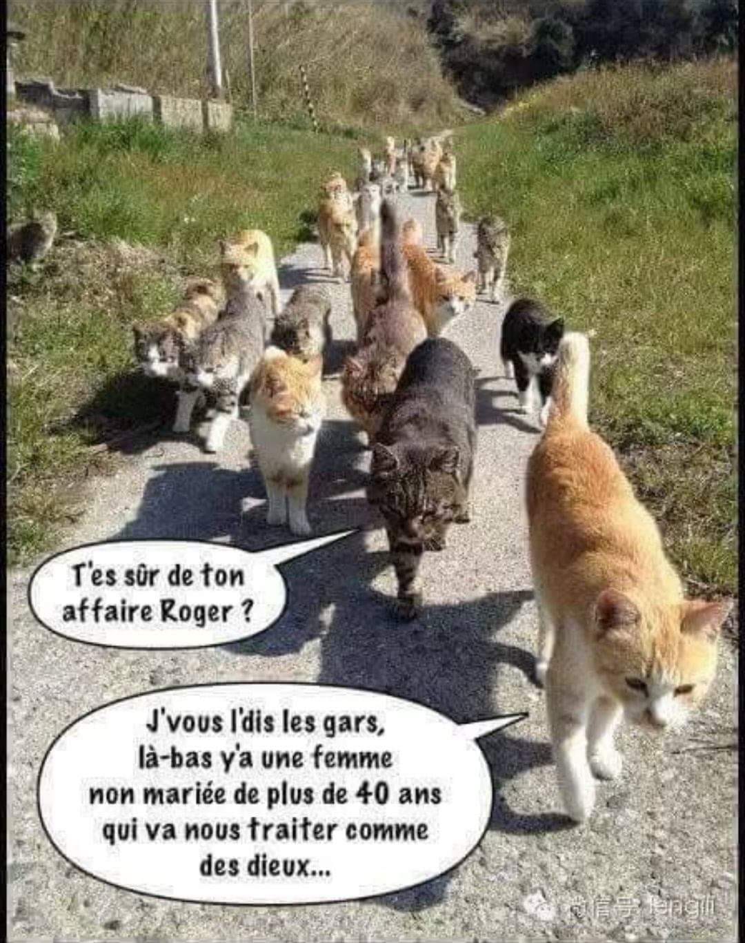 chats.jpg