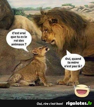 roi des animaux.jpg