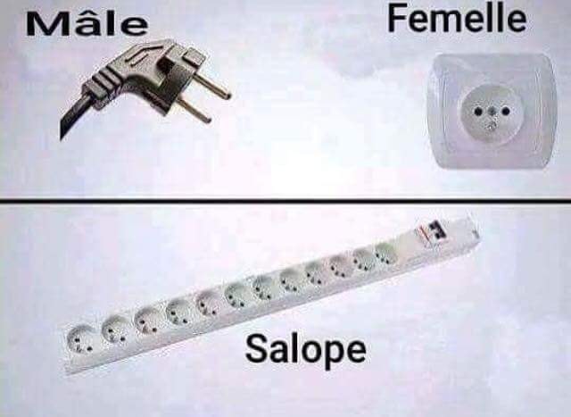 male et......jpg