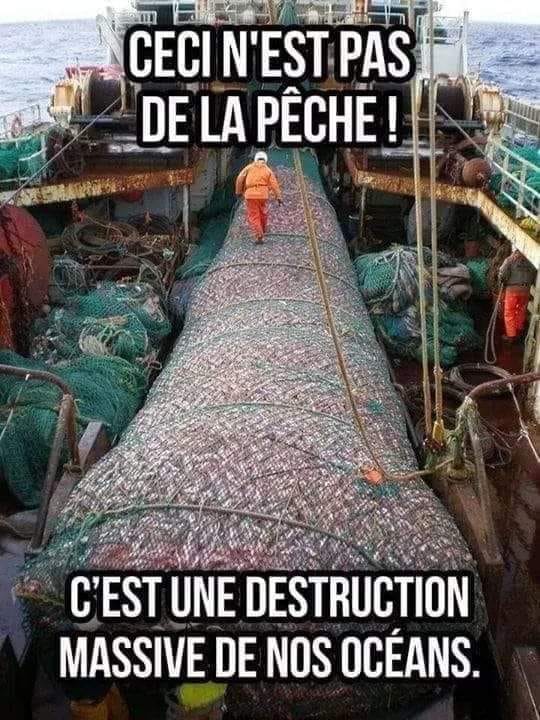 pas un filet de peche.jpg