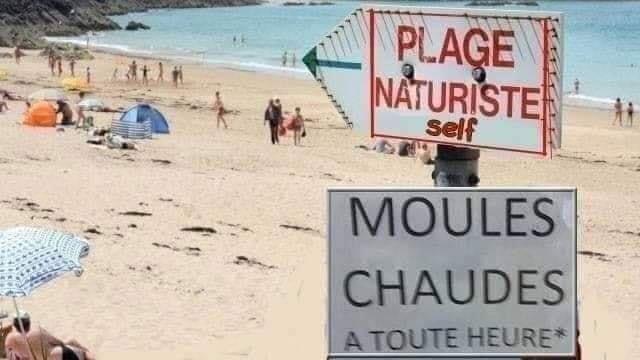 moules chaudes.jpg