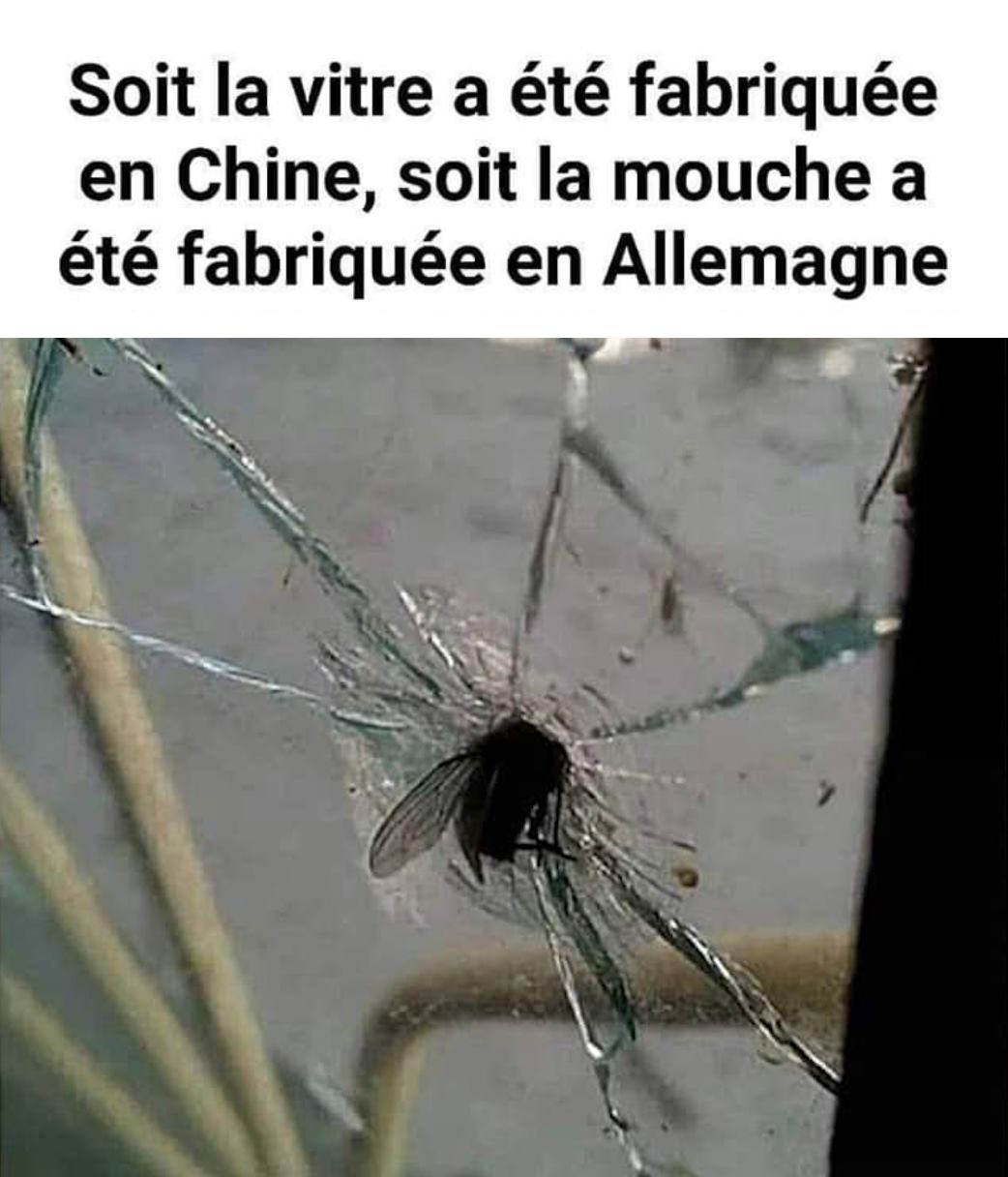 mouche.jpg