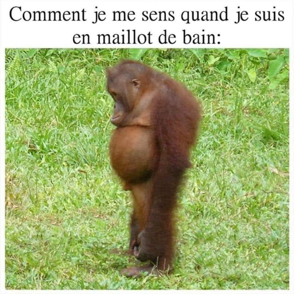 maillot bain.jpg