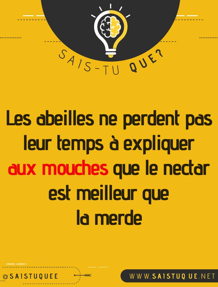 abeille.jpg