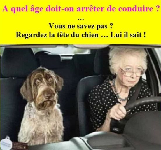 age de conduire.jpg