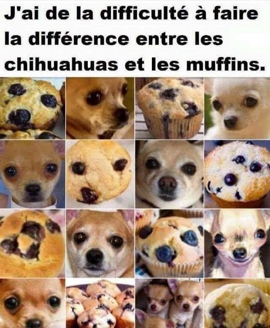 muffins.jpg