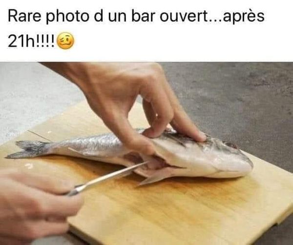 bar.jpg