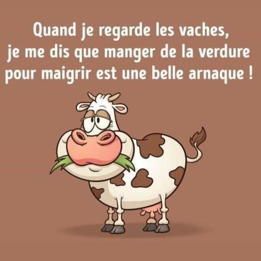 vaches.jpg