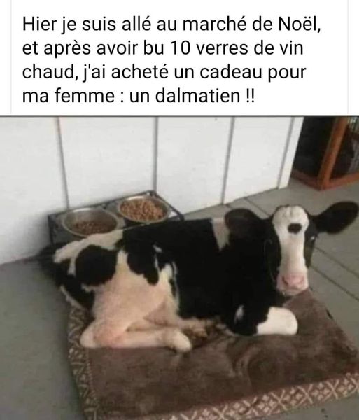 marché noel.jpg