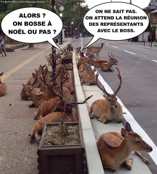 on bosse,.jpg