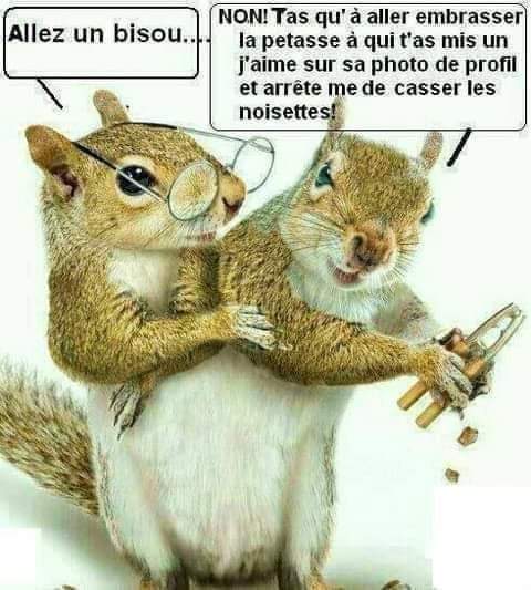 noisette.jpg