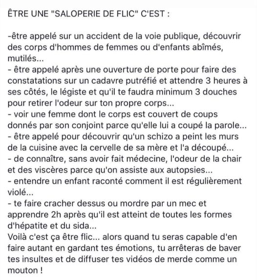 travail de flic.jpg