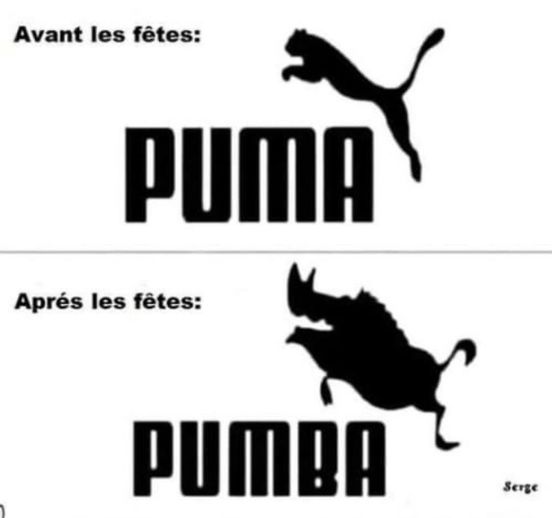 puma.jpg