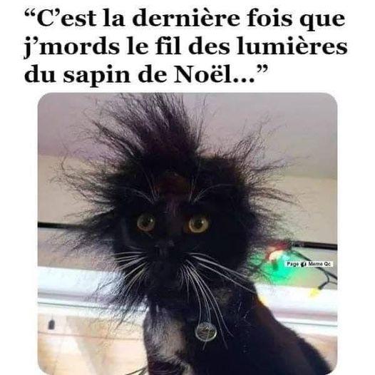 fil lumiere.jpg