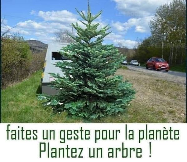 planter un arbre.jpg