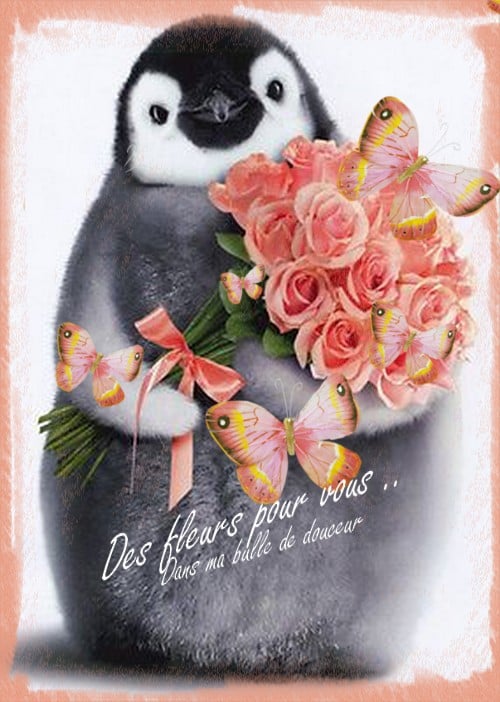 des fleurs.jpg
