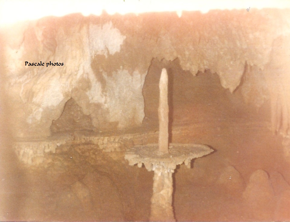54.jpg