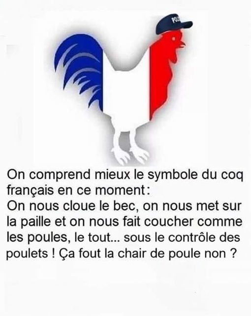 symbole du copq.jpg