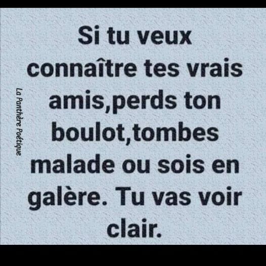 vrais amis.jpg