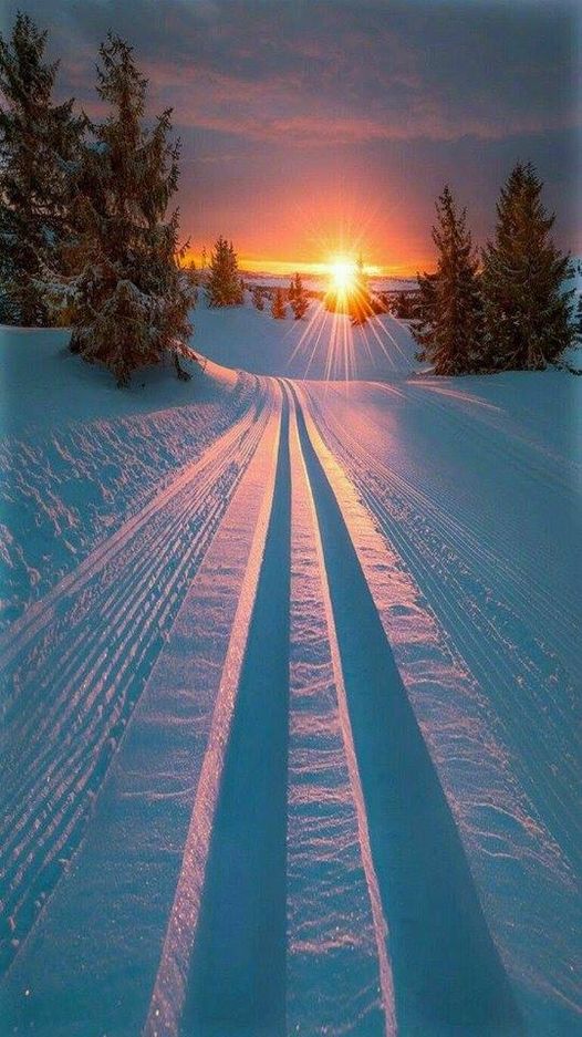 neige magnifique.jpg