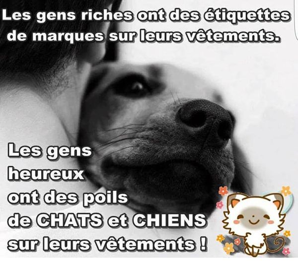 gens heureux.jpg