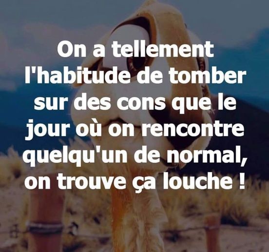 louche.jpg