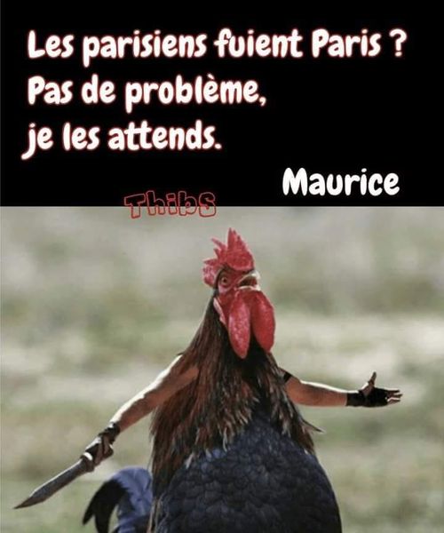 maurice.jpg