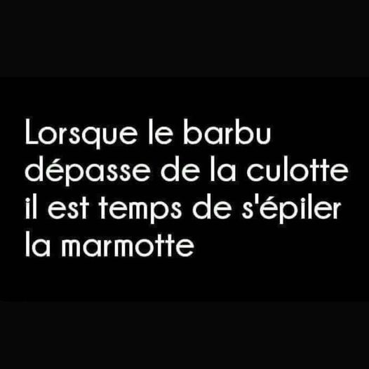 marmotte.jpg